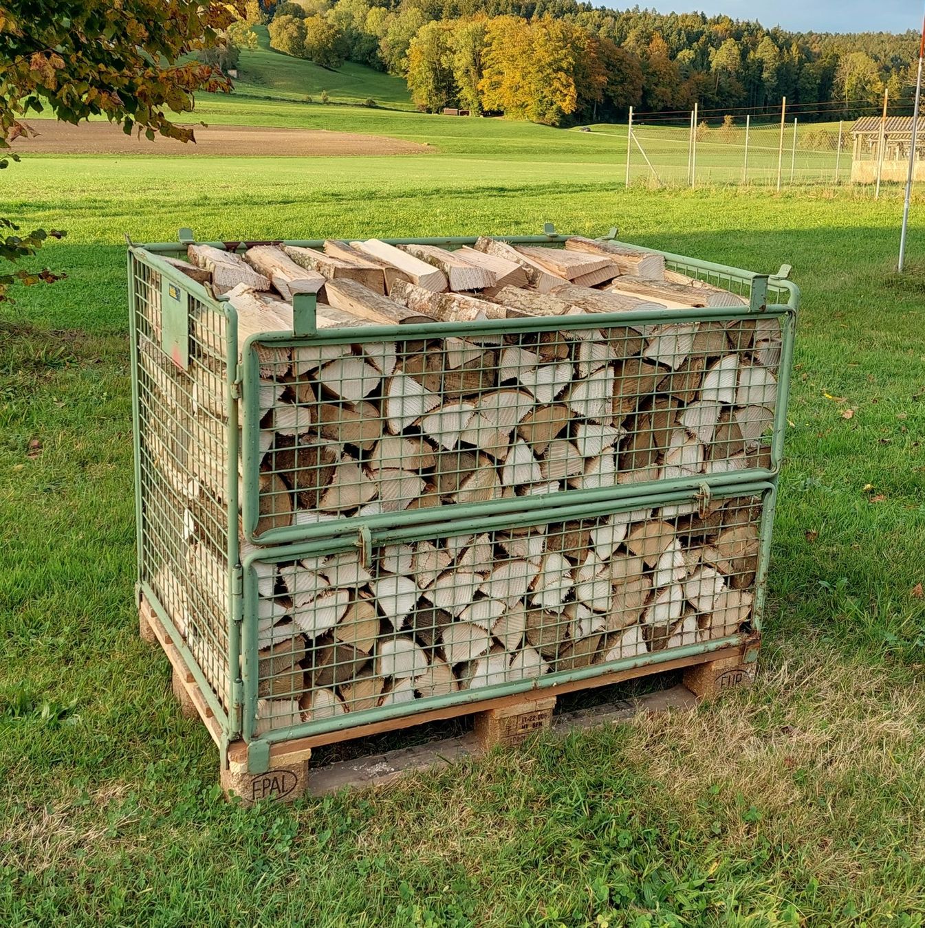 Holzartikel: Eschen-Brennholz / Sterbund – Neu (gemäss Beschreibung) aus Rossrüti von Radri 4