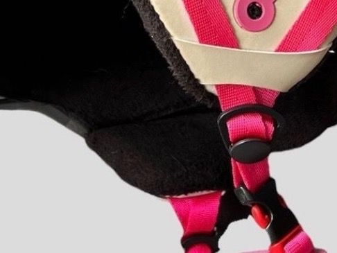 Movement Caschi: MOUVEMENT Casque ski – Usato da Vuisternens-Romont venduto da gol_xp6p 2