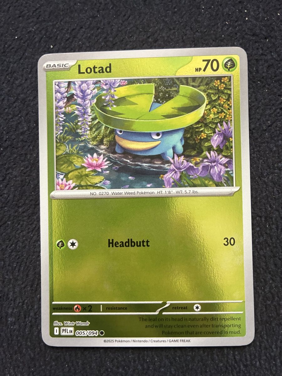 Pokémon Sammelbilder & Trading cards: POKEMON CARDS PHANTASMAL FLAMES REVERSE # 5 – Neu (gemäss Beschreibung) aus Taverne von YOHISTORE