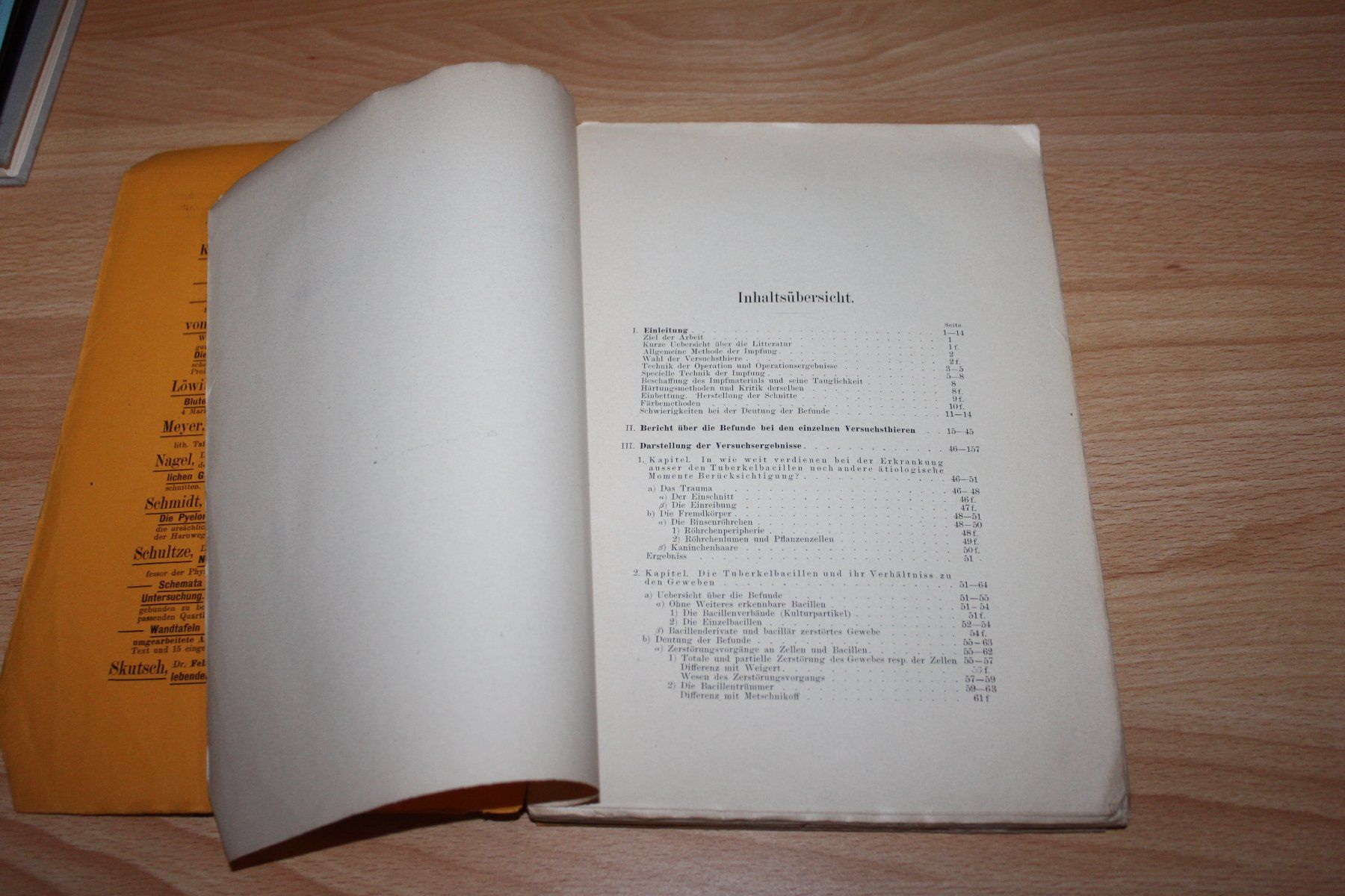 Libri: Ueber Eierstocktuberkulose - Dr. J. Schottlaender – Usato da Urdorf venduto da Buchprofi 1