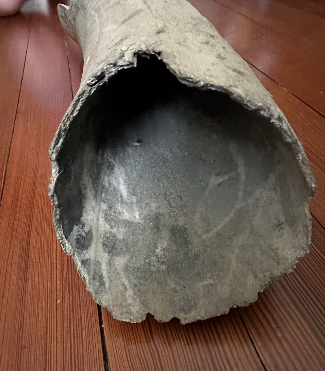Fossili: Mammut Stooszahn – Usato da Zürich venduto da Peci007 1