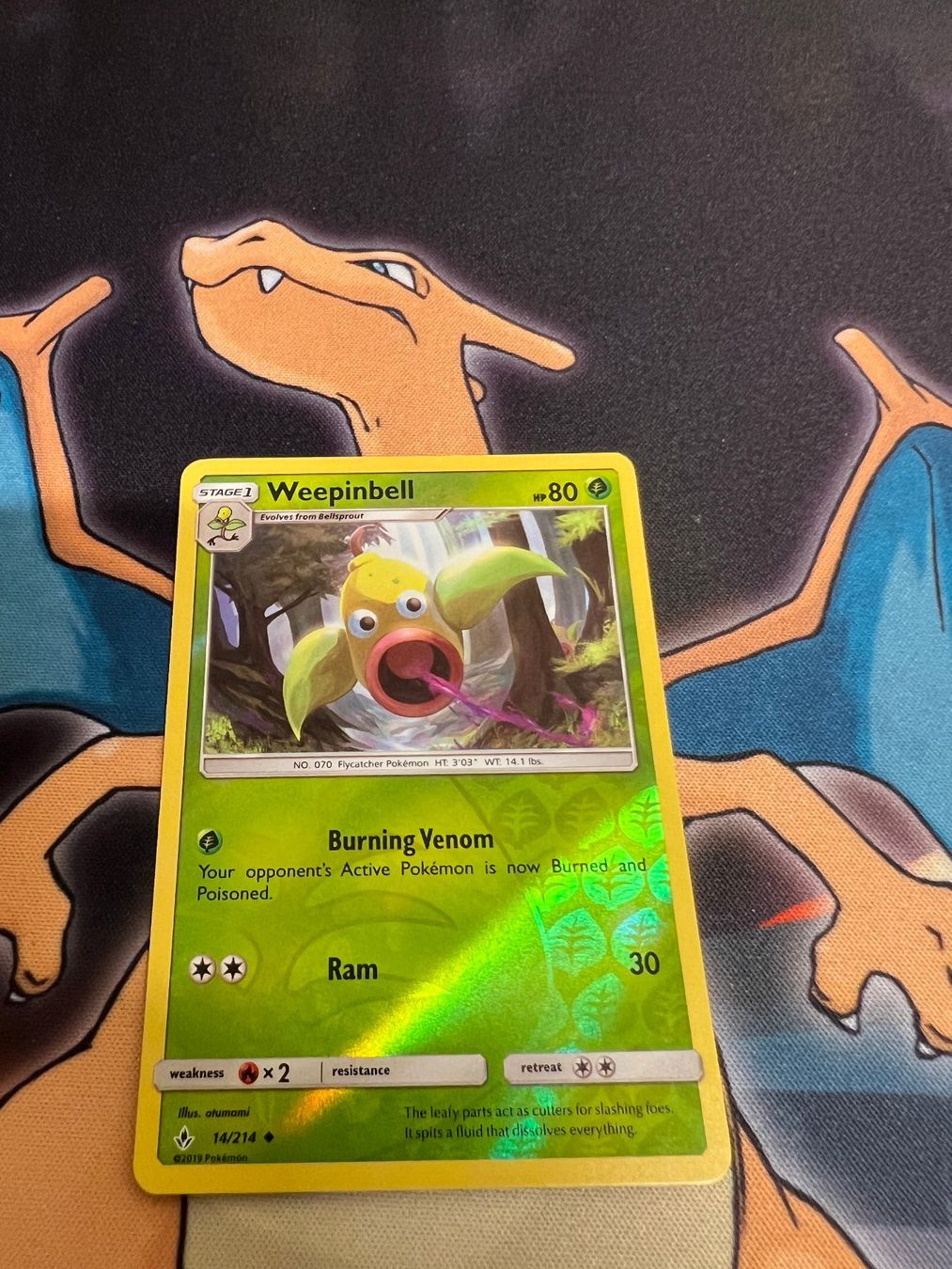 Pokémon Sammelbilder & Trading cards: Weepinbell (UNB 14) - Reverse Holo - Unbroken Bonds – Neu (gemäss Beschreibung) aus Bülach von Pfrenzel
