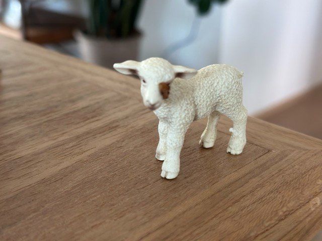 Schleich Statuette: Schleich Lamm Sammelfigur – Usato da Fällanden venduto da SafariSchleichCH