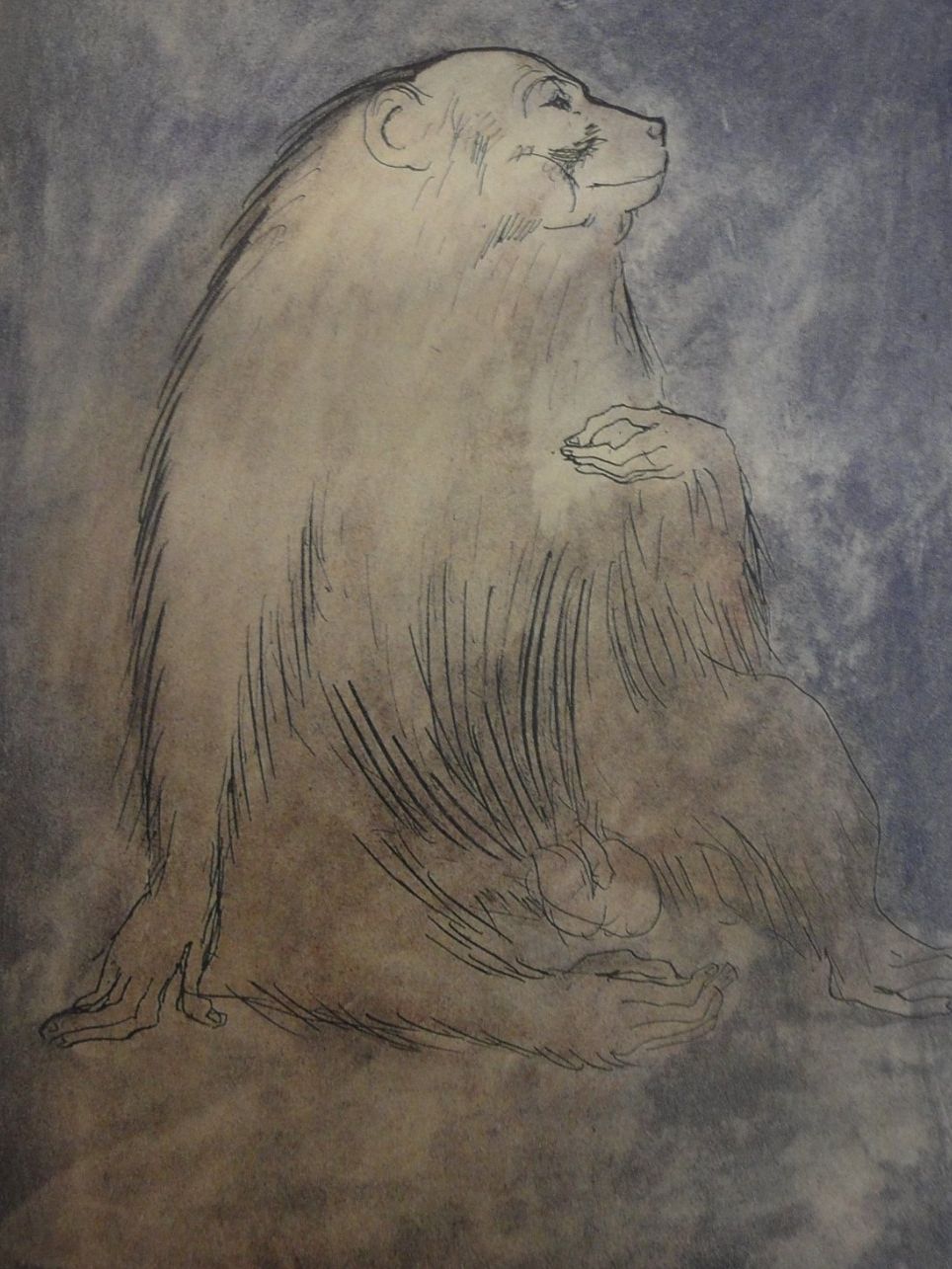 Libri: PICASSO  1905 - 1906  - Rosa Periode – Nuovo (secondo la descrizione) da Biel/Bienne venduto da 07helios032 3