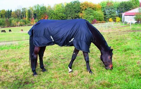 Coperte: Pferde-Winterdecke IceProtect 600 Denier Gr. 145cm – Nuovo e nell'imballaggio originale da St. Gallen venduto da schnaeppchen-preise 1