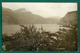 Flüelen am Urnersee, Gesamtansicht ungelaufen, ca. 1912