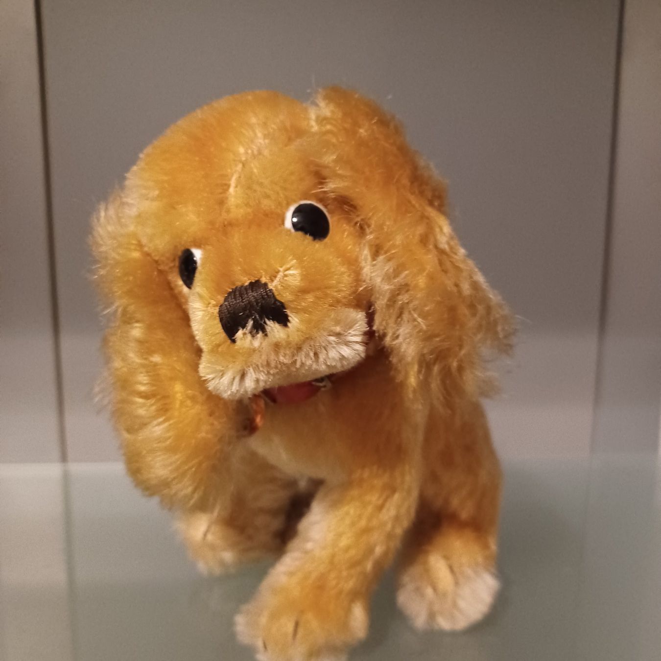 Steiff Giocattoli: Steiff Hund Revue Susi17 cm gross – Usato da Abtwil SG venduto da luupsy