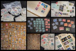 Große Briefmarkensammlung CH & Welt Alben, FDC, lose Marken