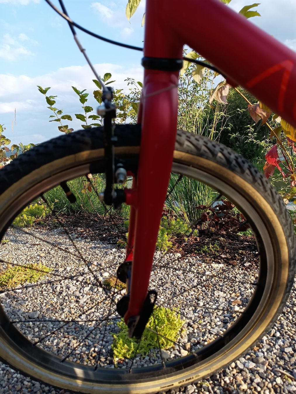 Academy Velos: Kindervelo 20" - Academy Grade 4  – Gebraucht aus Stein am Rhein von padolfo 4