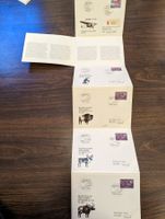 FDC Set Pro Aero 1981 Swissair - Jakarta - Buenos Aires use