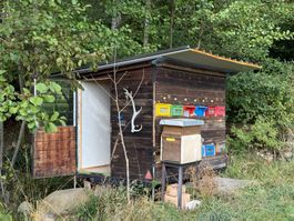 Bienenwagen mit Zubehör (evtl. mit Standort)