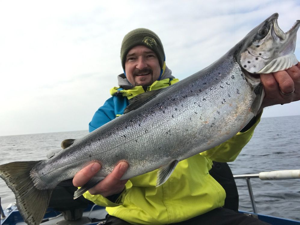 Angeln BTB Einzelhaken Nr.12 - Seeforelle, Forelle, Saibling (Neu und ...