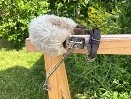 Vintage Hackamore mit geflochtenem Leder-Nasenriemen