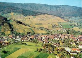 SCHINZNACH-DORF AG