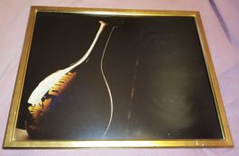 Japanische Staatsschätze 7 großformatige Foto-Unikate 1980er