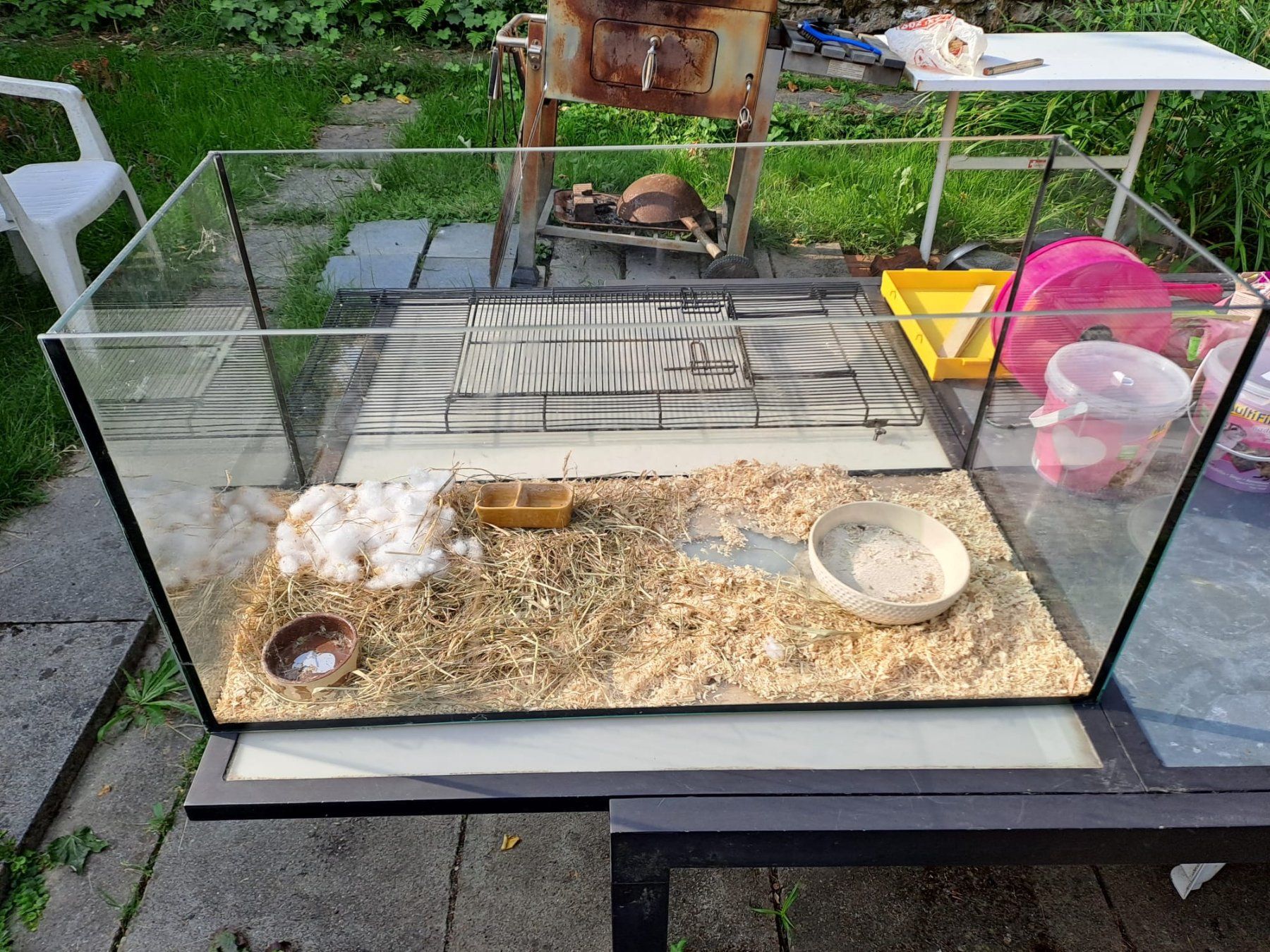 Terrariums: Terrarium 80X40X40 – D'occasion à Delémont par mvl_l76c 2