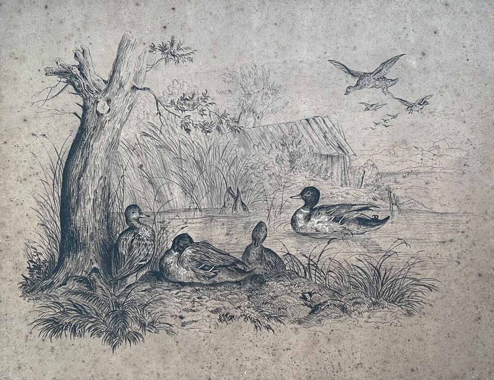 Kinderzeichnung von Eduard SULZERZIEGLER Nationalrat Kaufen auf Ricardo