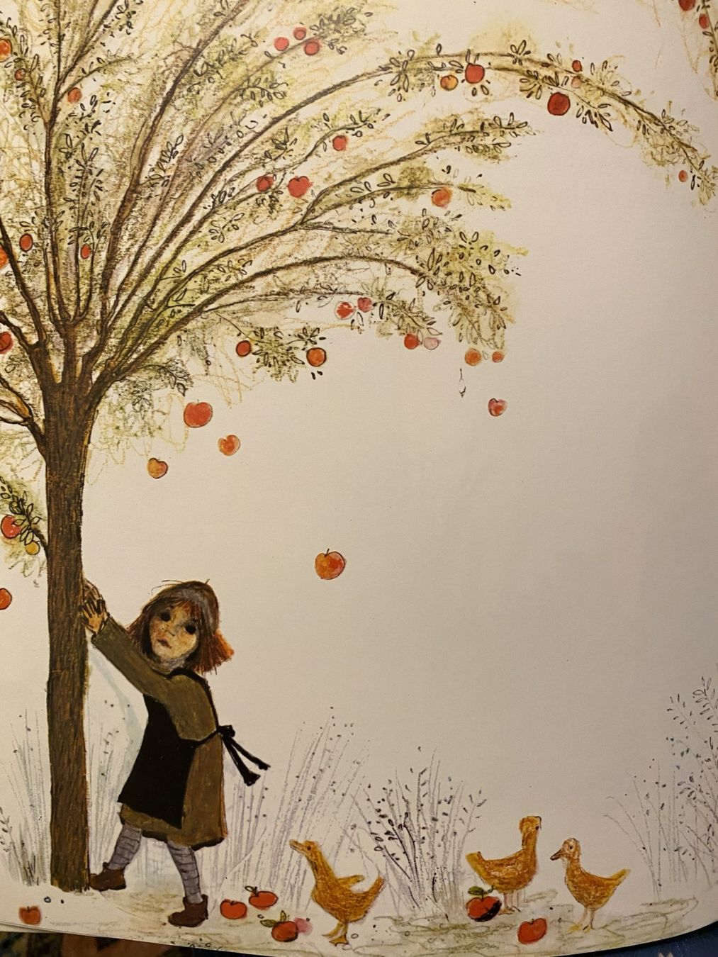 Libri: Frau Holle – Nuovo (secondo la descrizione) da Sachseln venduto da basti1950 3