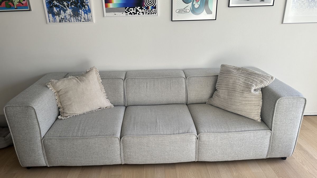 Boconcept Sofas: Cosy and Design Sofa from BoConcept – Gebraucht aus Wallisellen von rac_sy2x