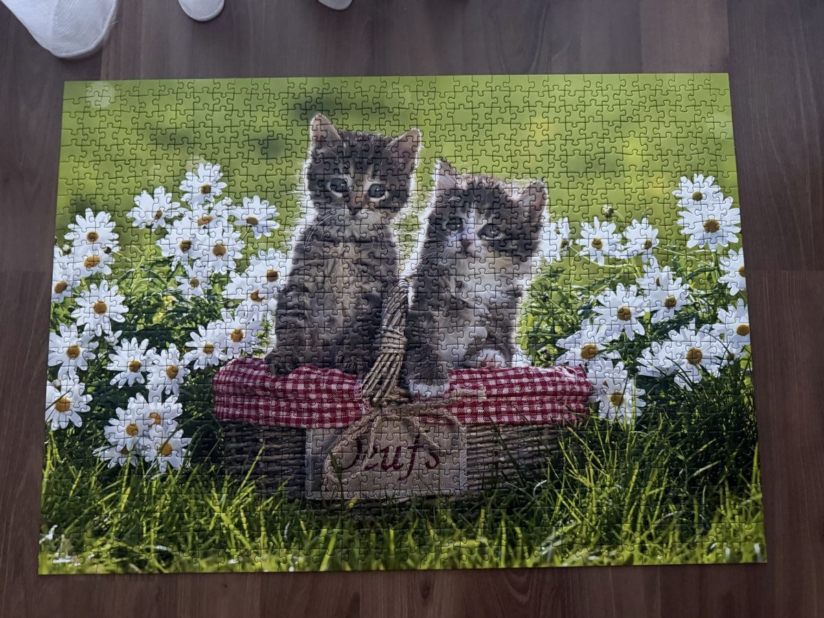 Ravensburger Puzzles: Ravensburger Puzzle  – D'occasion à Herisau par deb_5qfc 2