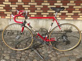 Rennvelo Tigra Professional 60er Eroica Campagnolo Vintage
