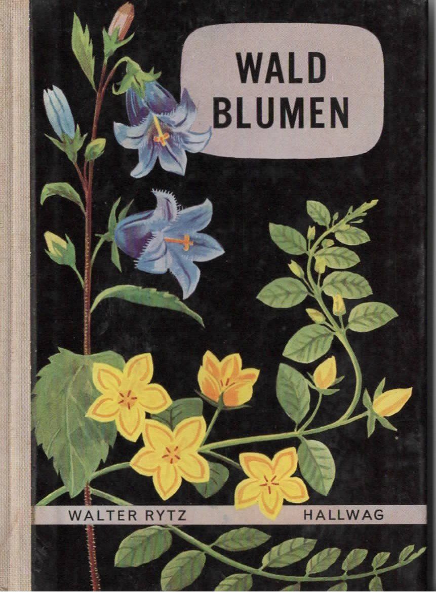Bücher: 1 Sachbüchlein Waldblumen – Gebraucht aus Basel von Happybaer