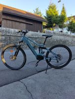 E-Mountainbike