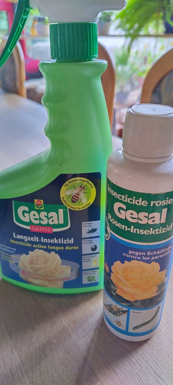 Altro: Rosen Dünger – Usato da Rothrist venduto da Sheriff94 2