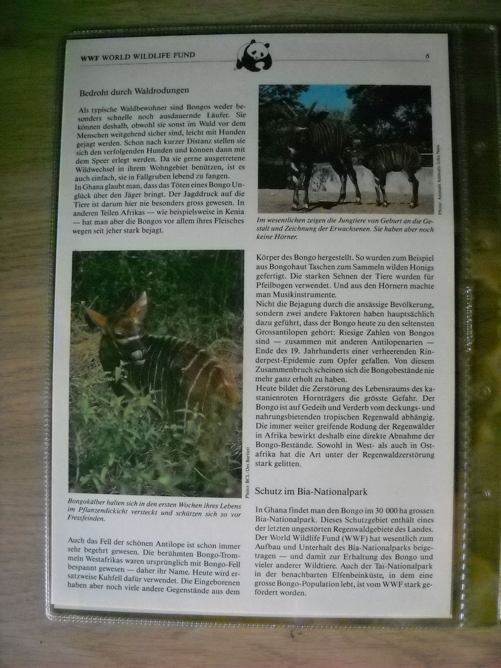 Tutti i francobolli: WWF Der Bongo Sammlung Seite mit Briefmarken – Nuovo (secondo la descrizione) da Boningen venduto da FrediP 5