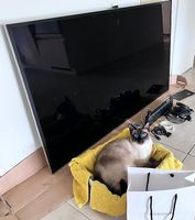 Samsung 55" 4K UHD Smart TV (2013),4xhdmi,1 LAN.Büsi prüft!