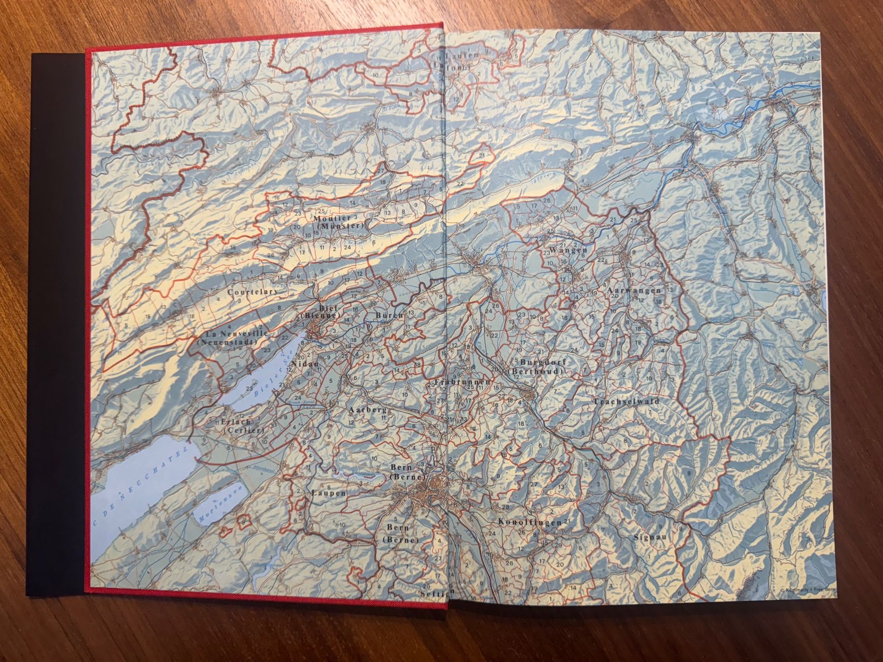 Libri: Wappenbuch d. Kt. Bern – Usato da Bern venduto da Boox 1