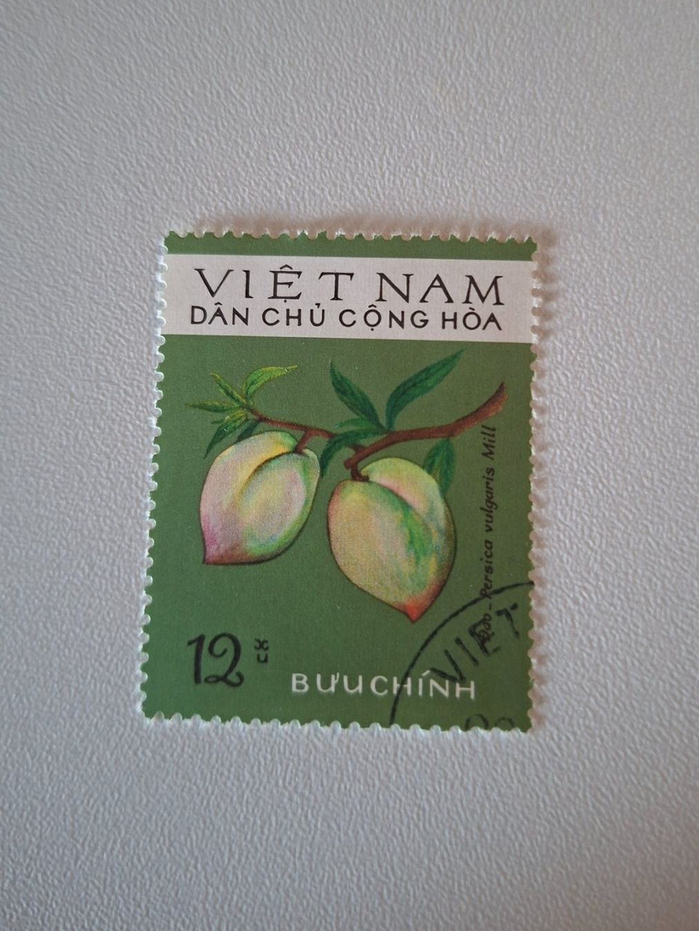 Tutti i francobolli: Vietnam Briefmarke, gebraucht – Usato da Erlinsbach venduto da pfunky