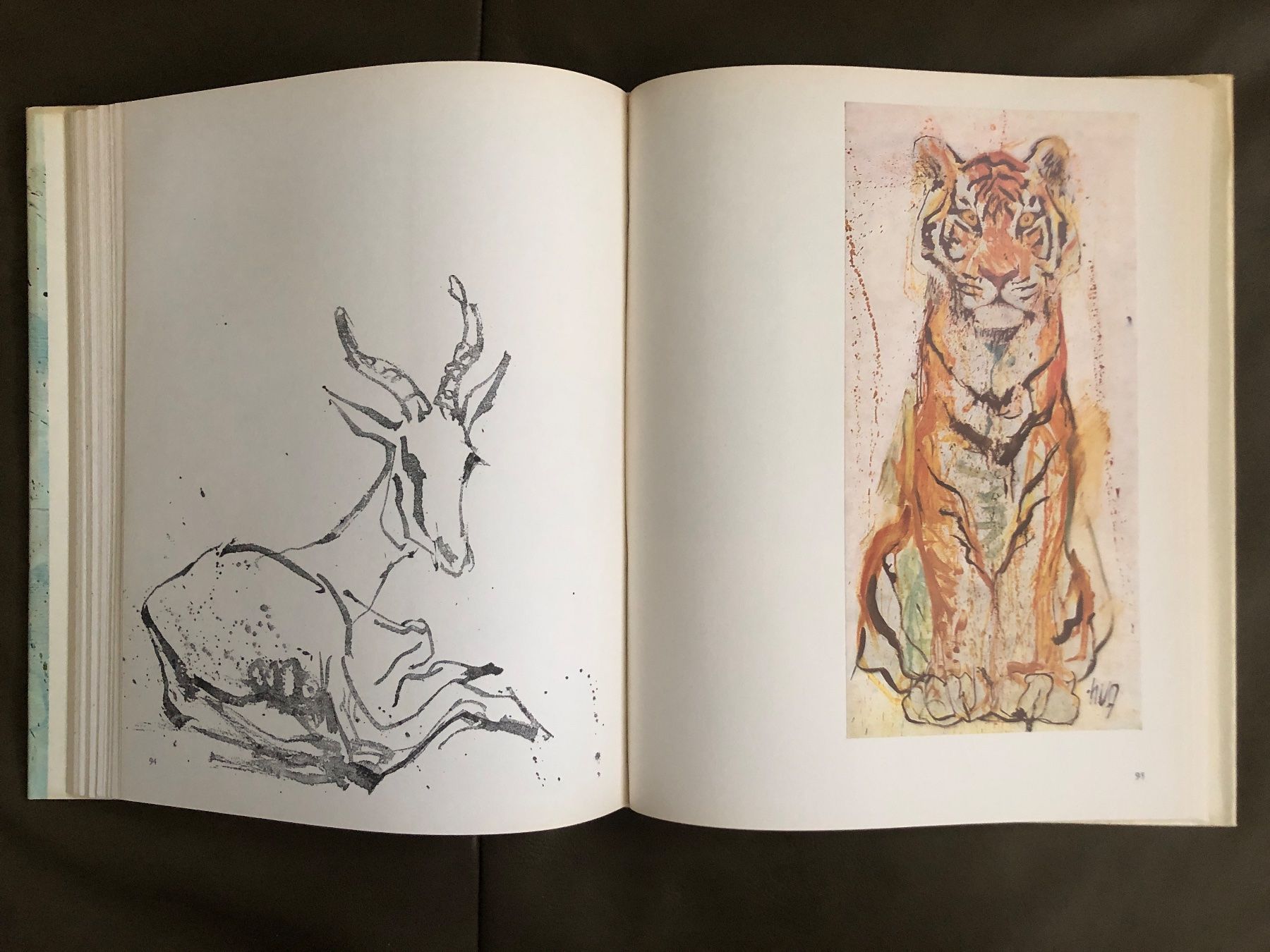 Libri: Buch Fritz Hug Maler der Tiere – Usato da Nunningen venduto da anclaudia 7