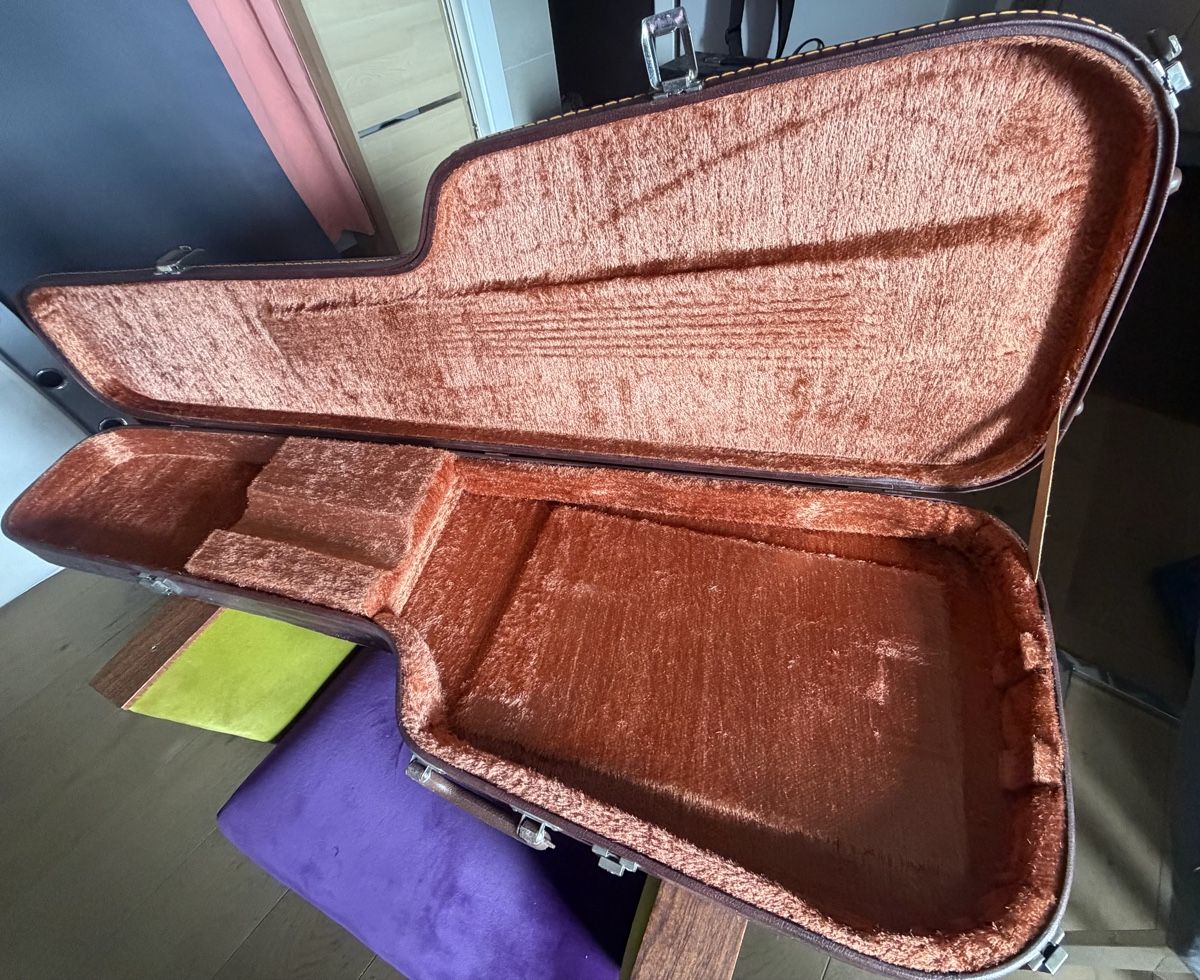 Strumenti musicali: 2 étui guitare rigide cuir – Usato da Corbeyrier venduto da ant_2r6l 1