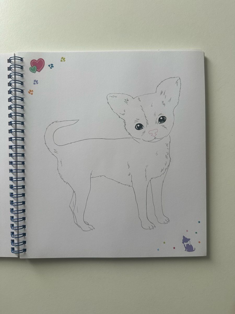 Libri: Top Model Malbuch und Stickerheft Hund – Nuovo e nell'imballaggio originale da Uetendorf venduto da Gar_9pvy 2