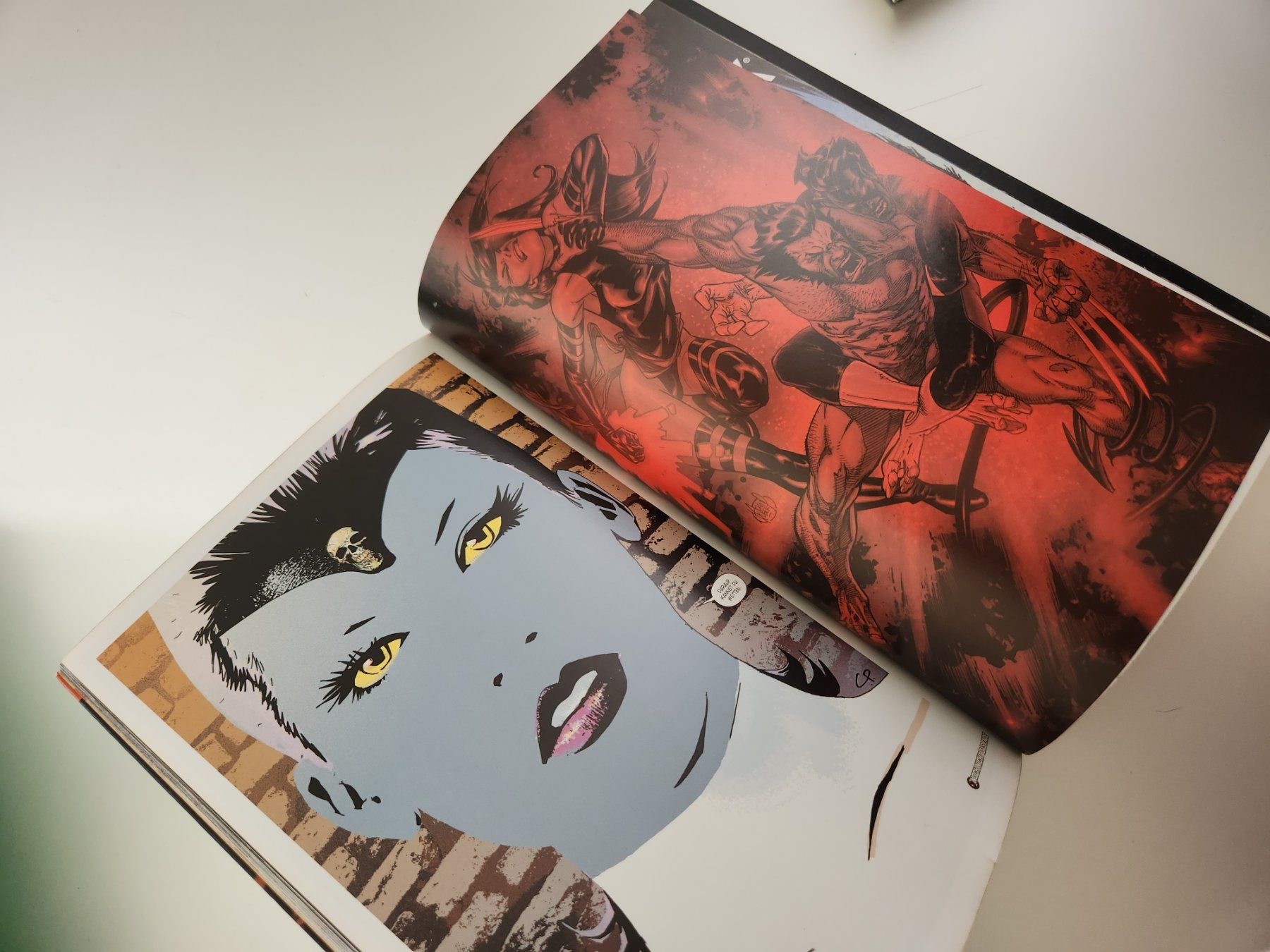Fumetti: Wolverine Waffe X - Graphic Novel – Usato da Basel venduto da noah27 4