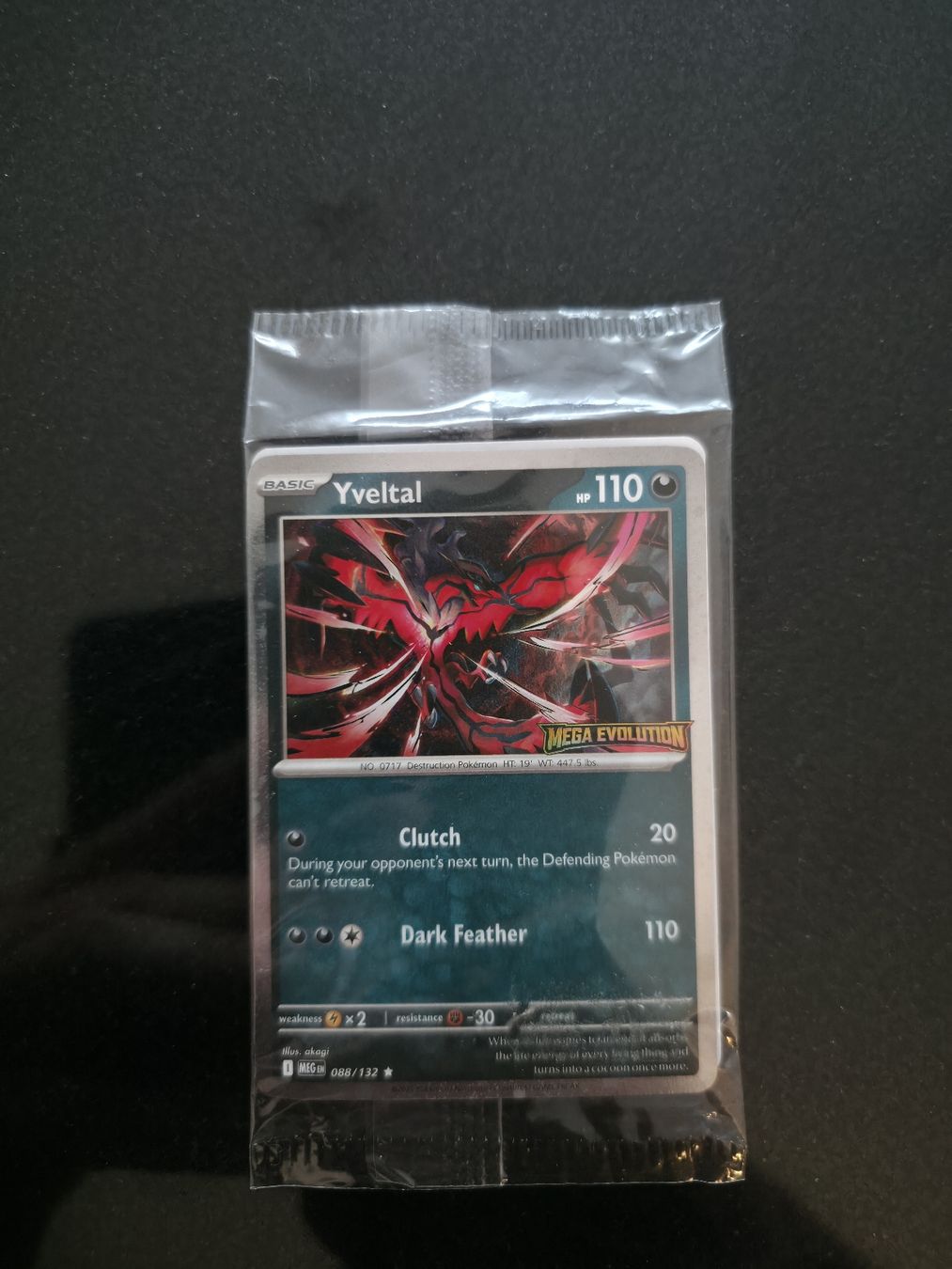Pokémon Carte collezionabili: Pokémon Yveltal Mega Evolution Promo Sealed Englisch – Nuovo e nell'imballaggio originale da Turbenthal venduto da 90erShop