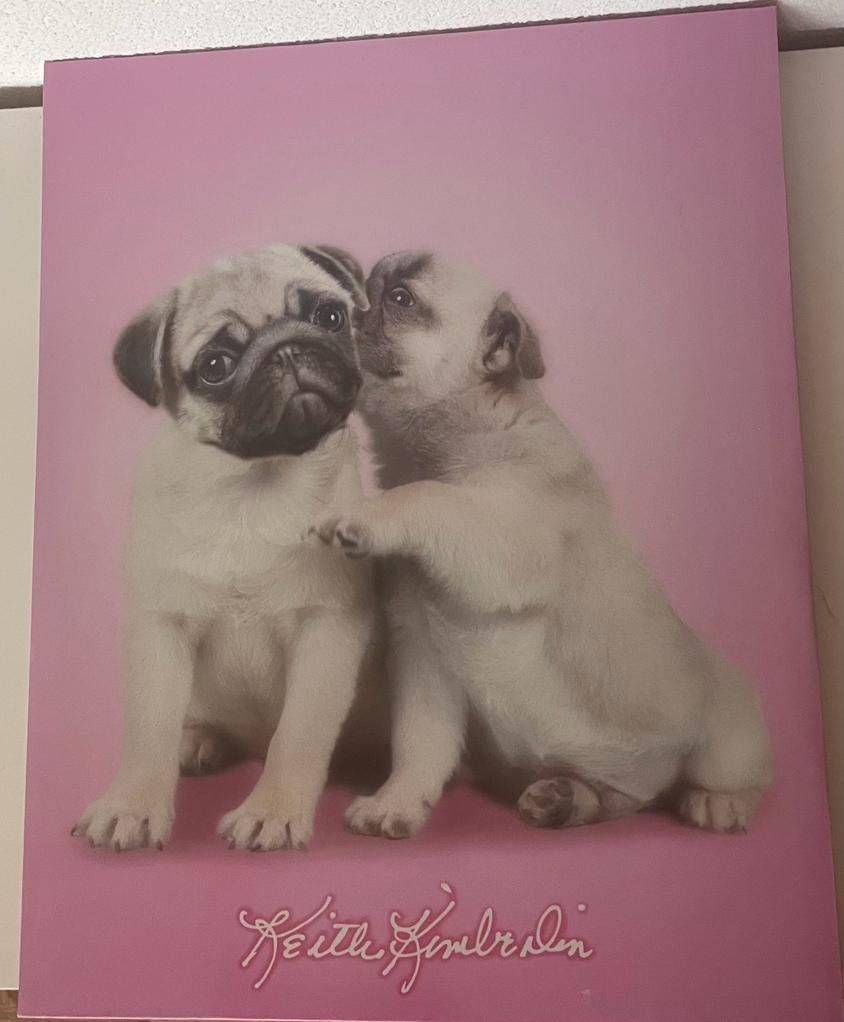 Posters & Illustrations: grosses Wandbild Hunde – D'occasion à Bichwil par Leamoon