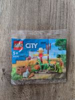 Lego City Helloween