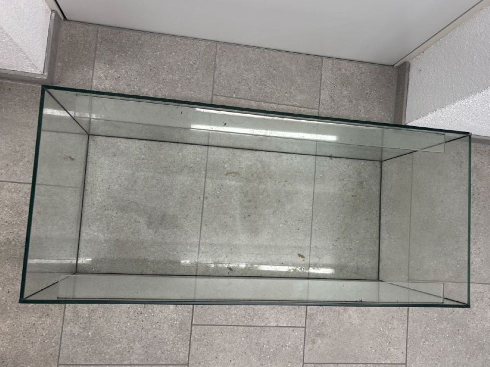 Terrario: Aquarium gebraucht – Usato da rheineck venduto da Neshi06 3