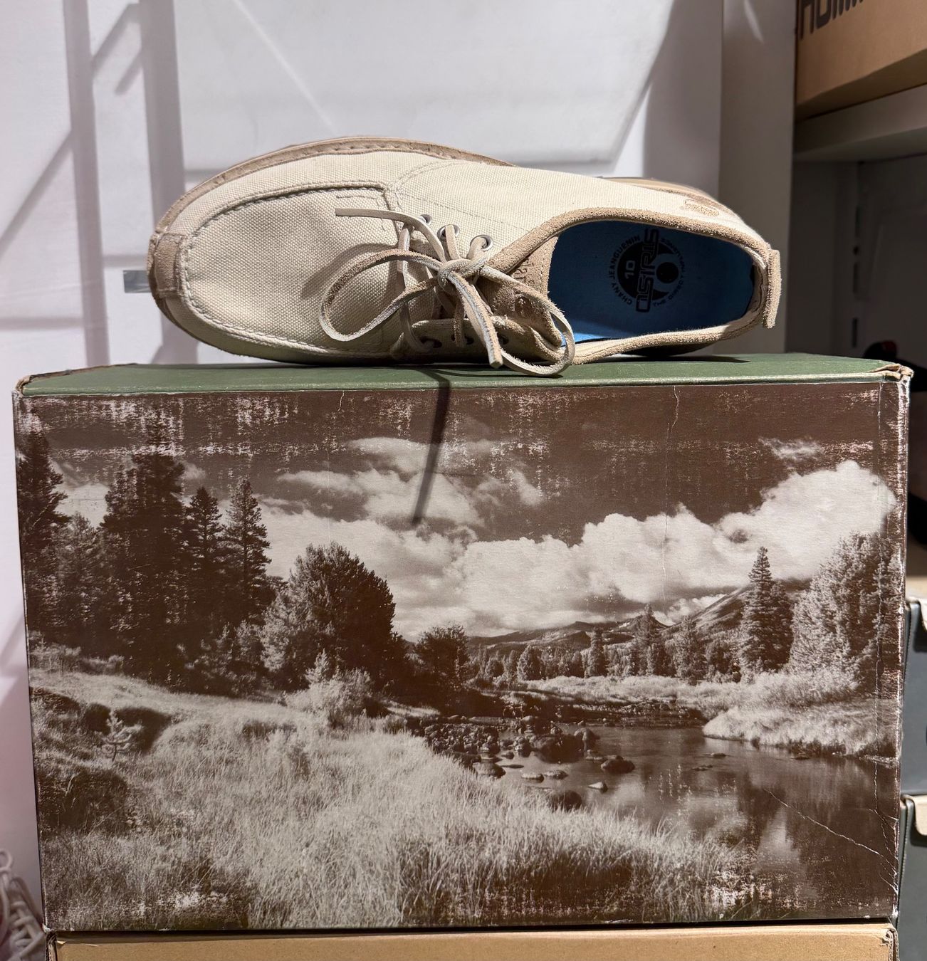 Timberland Scarpe da uomo: TIMBERLAND BOOTSSCHUH    LEDER    BEIGE      Gr.43.5 – Nuovo e nell'imballaggio originale da Zürich venduto da LIQUIDATOR.CP 2
