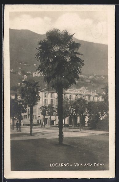 Cartoline postali: AK Locarno, Viale delle Palme – Usato da Berlin venduto da bartko-reher