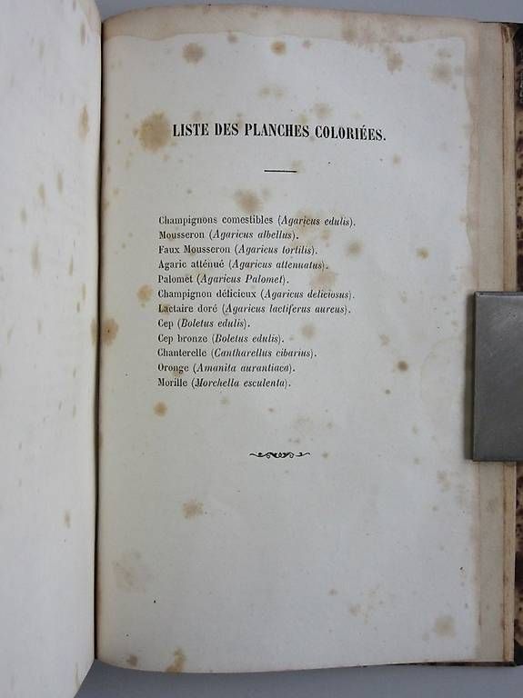 Bücher: Champignons et truffes, Jules Remy, 1861. – Gebraucht aus Chernex von Nouveaunom 4