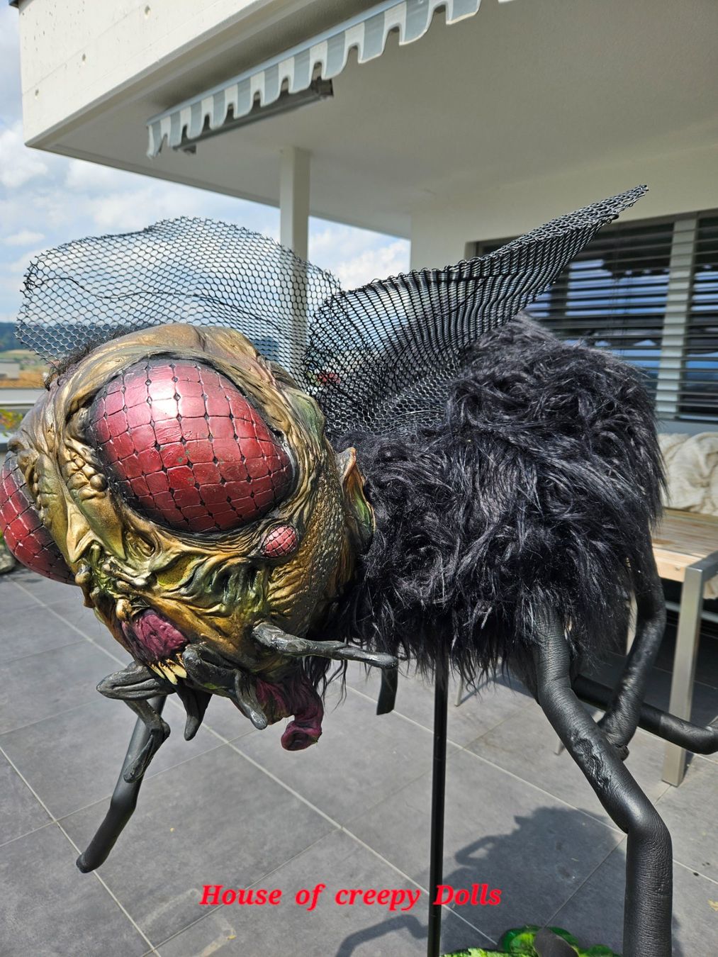 Toutes les décorations: HALLOWEEN 🎃/ HORROR RIESEN FLIEGE – Neuf avec emballage d'origine à Root par LifestyleAccessoires 2