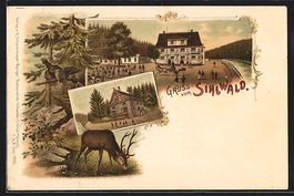 Litho Sihlwald, zwei Gebäudeansichten