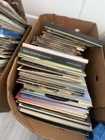 vinyl lot