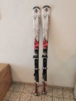 Nordica Hot Rod 160cm Ski, Top Zustand! Winterspass!