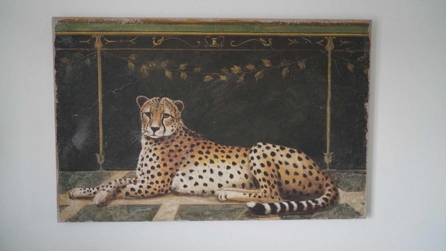 Poster & Bilder: Bild Gepard "Ghepardo Pompei" 140 x 90cm – Gebraucht aus Holderbank AG von Gute-Artikel 4