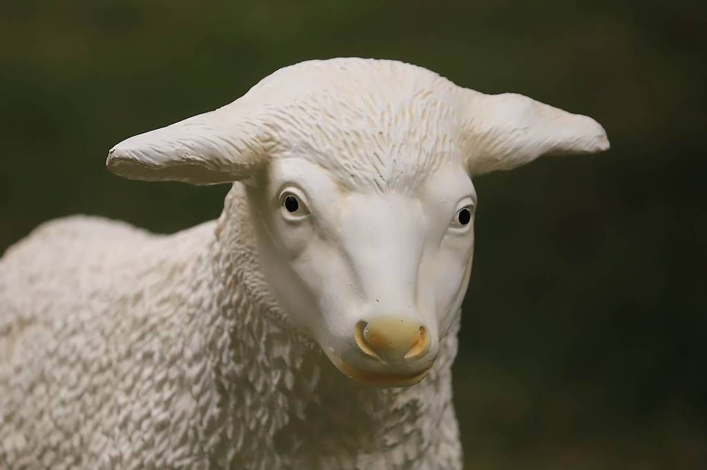 Statuette: Mouton en résine ht. 60 cm – Nuovo (secondo la descrizione) da courtételle venduto da capsule05 2