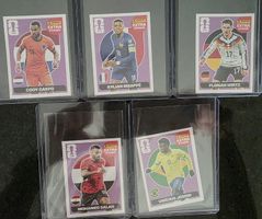 Panini Extra Sticker
